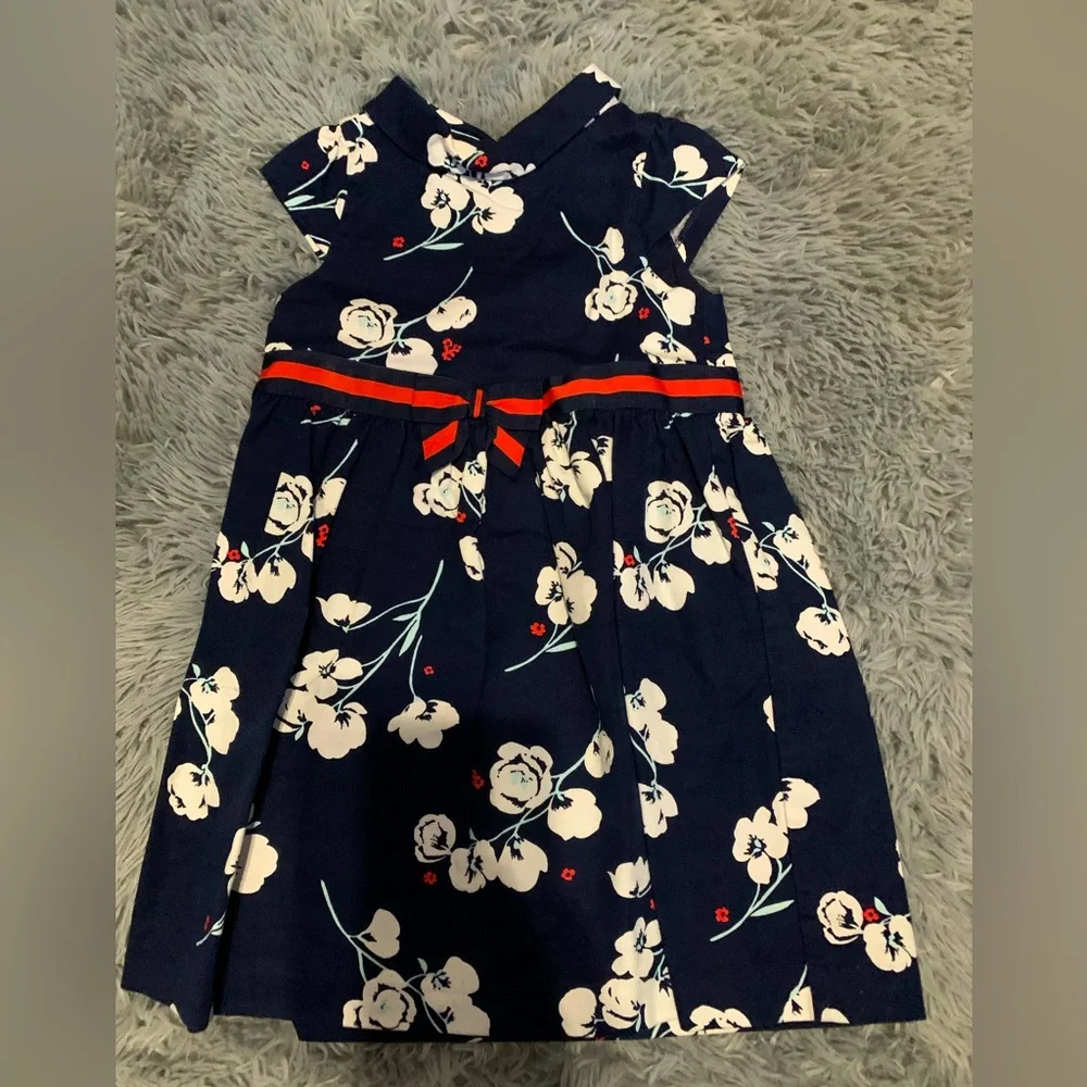 Janie and Jack dress 3T - Picture 1 of 3